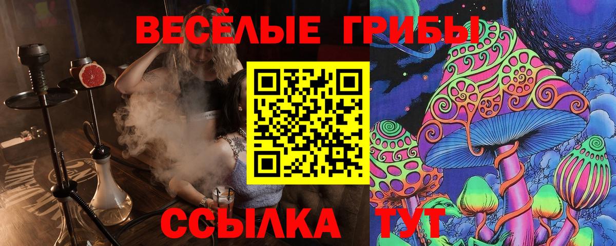 Алушта  Галлюциногенные грибы Magic Shrooms  Псилоцибиновые грибы ЛСД  как найти наркотики  Вход с VPN 